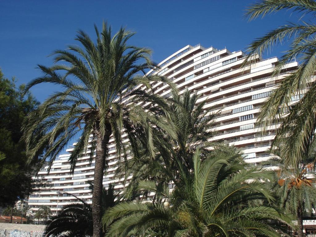 Apartamentos Florazar II Ajhory Cullera Exterior foto